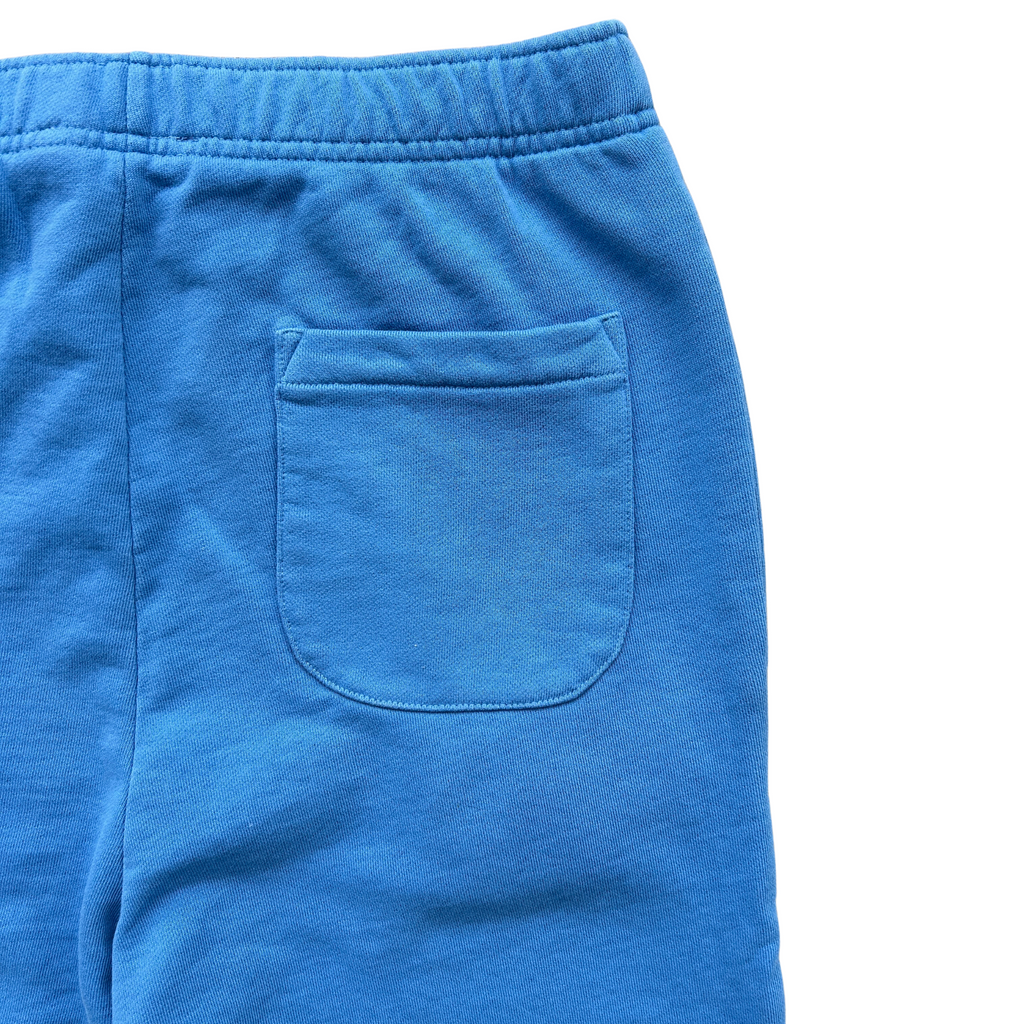 Polo Ralph Lauren Loopback Fleece Sweatpant (Blue)men's pants